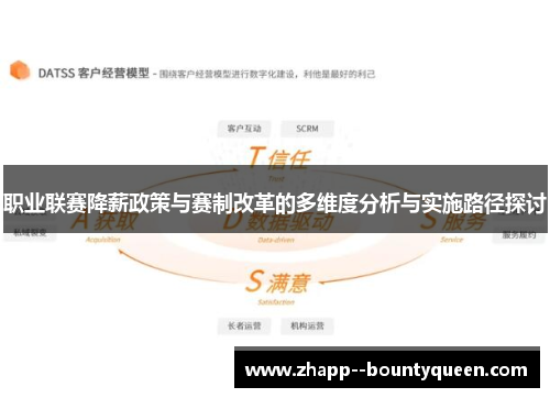 职业联赛降薪政策与赛制改革的多维度分析与实施路径探讨