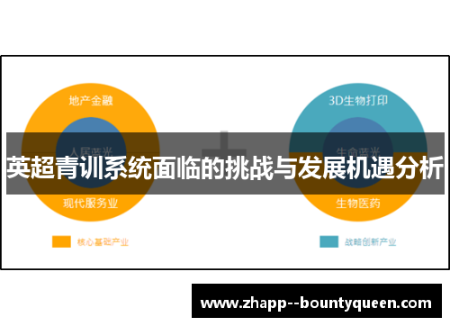 英超青训系统面临的挑战与发展机遇分析