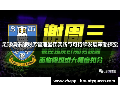 足球俱乐部财务管理最佳实践与可持续发展策略探索